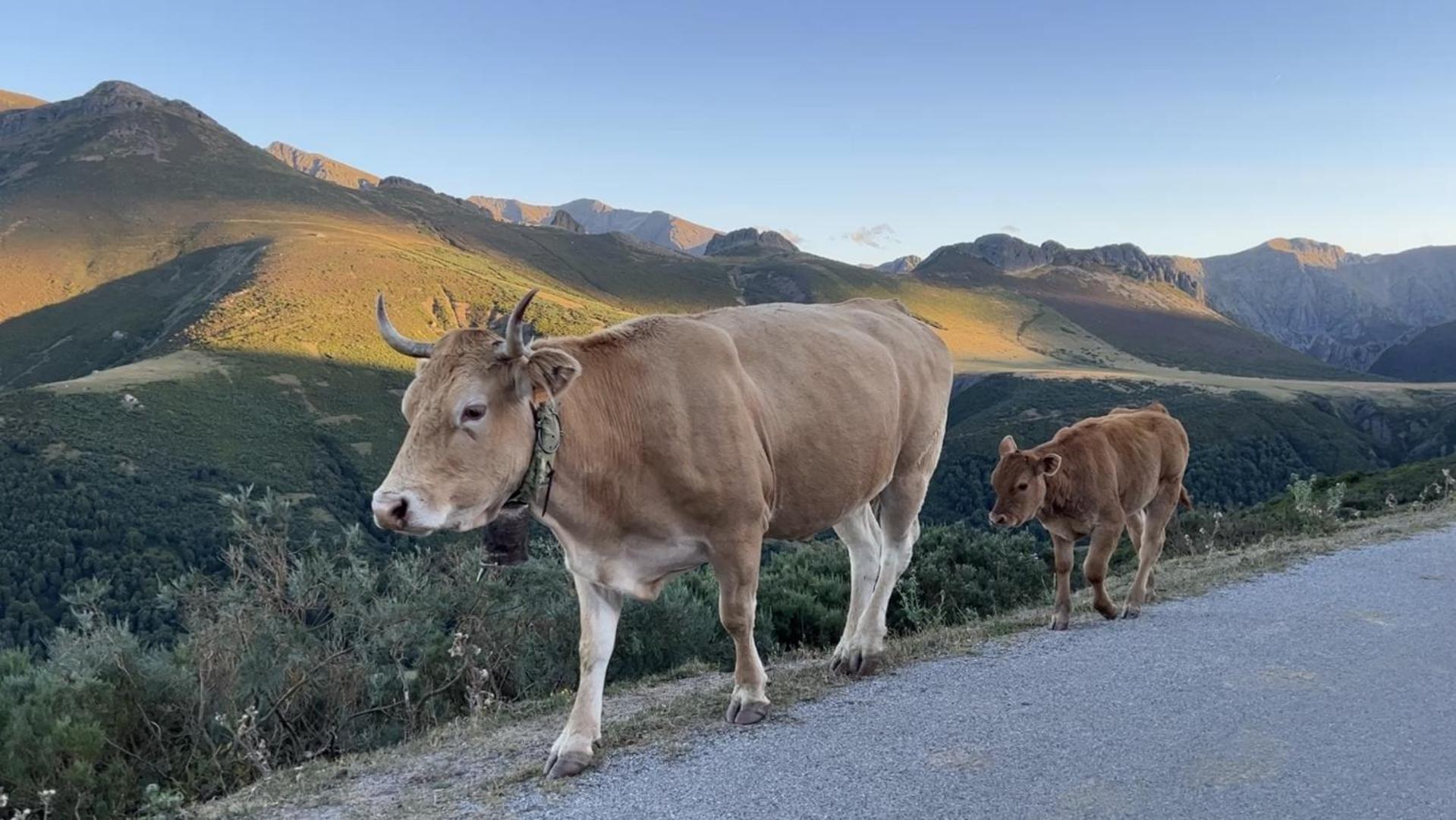 Posada La Trebede Perrozo Buitenkant foto